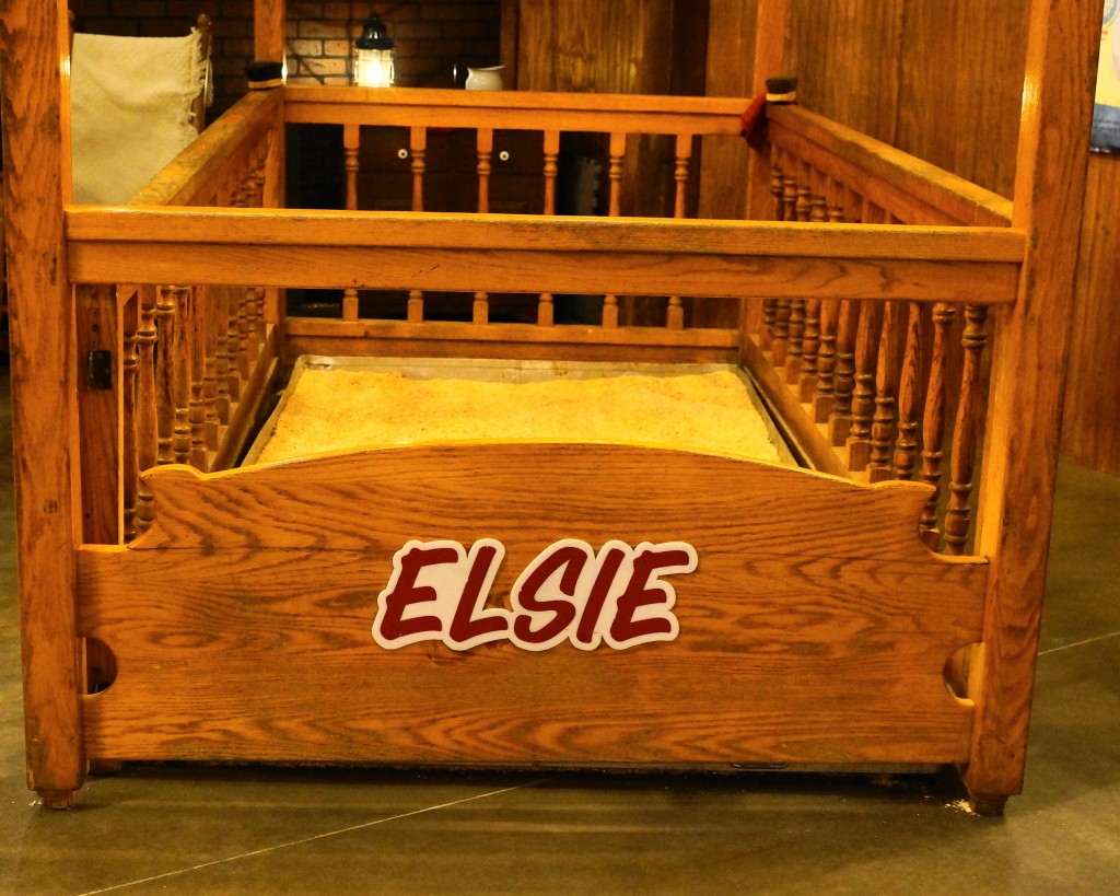 Elsie is Missing!